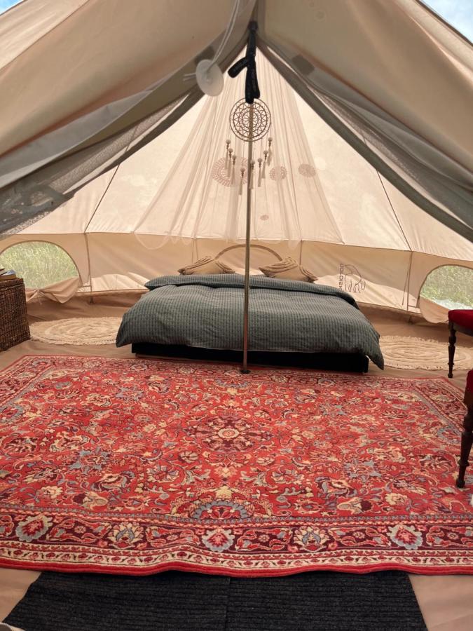 Tent 1