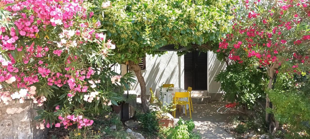 Apartments Oleander and Glicinija - B&B