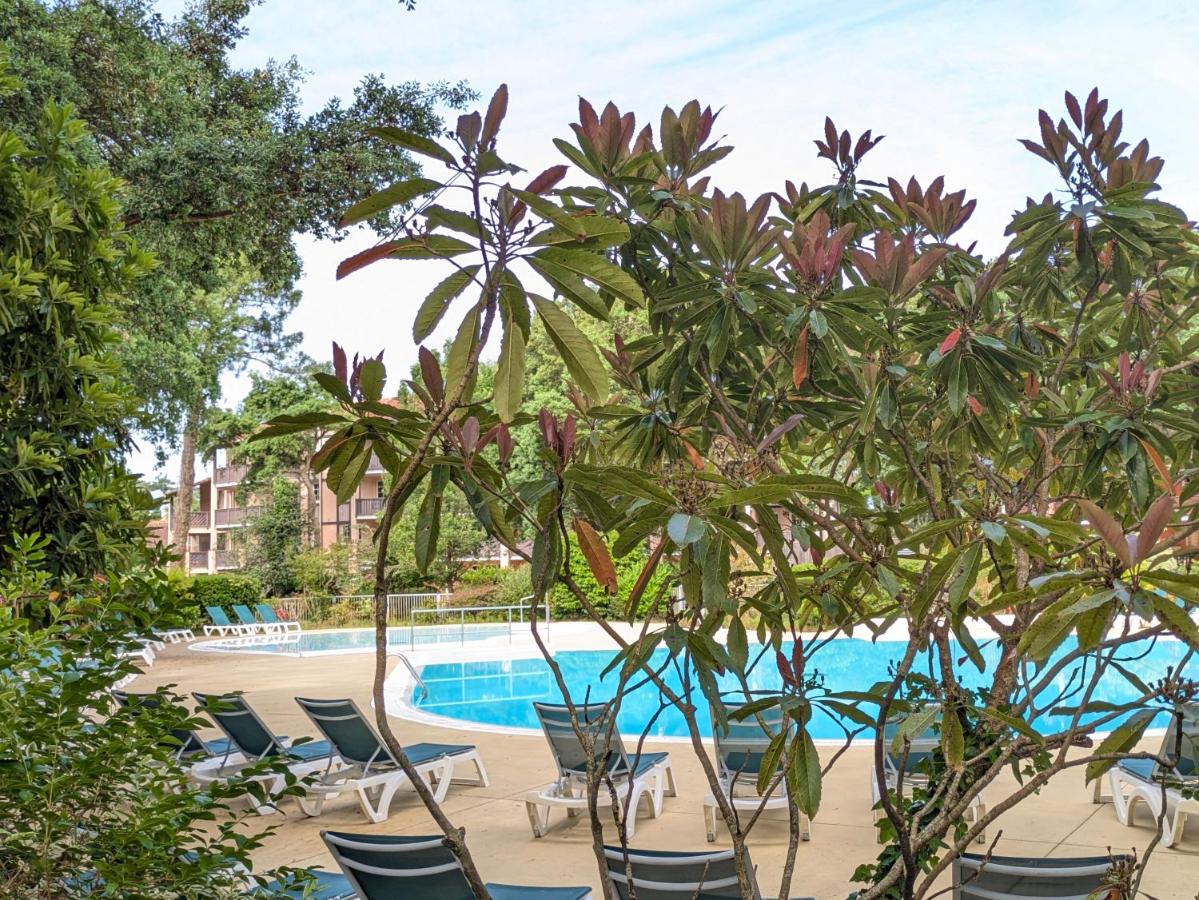 Le cocon des sables - Bed and Breakfast Moliets-et-Maa