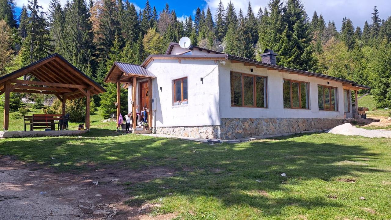 Planinska kuća Bajni - Chambres d'hôtes Vlajsovići