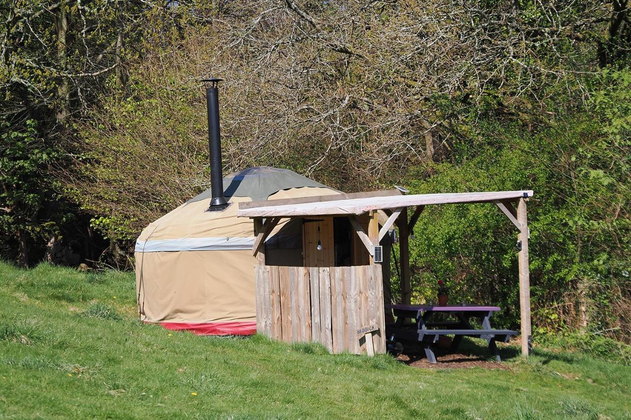 Self Contained Yurt - Beddick - Bed and Breakfast Tintern