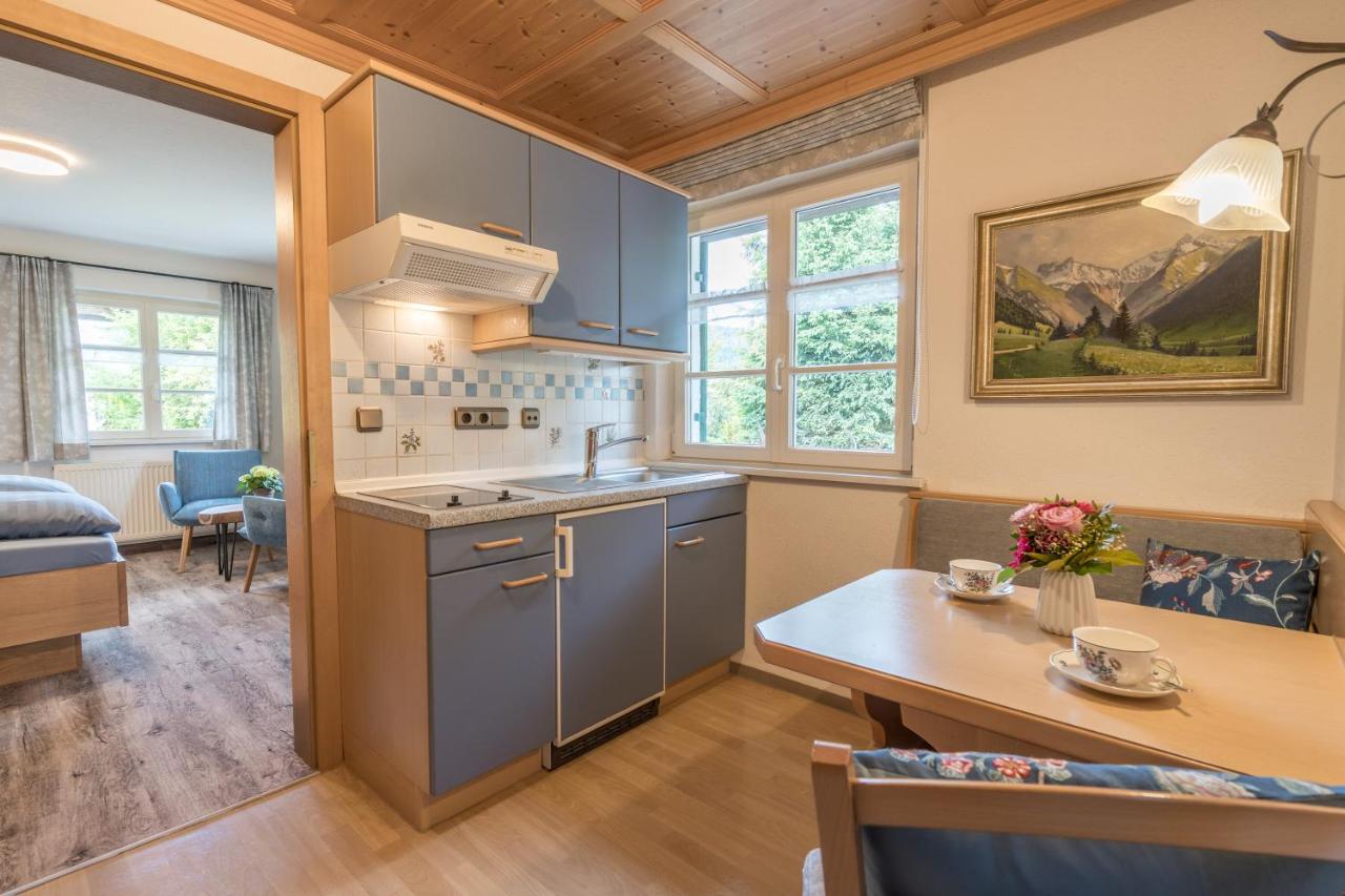 Appartement met 1 slaapkamer, balkon en uitzicht op de bergen.