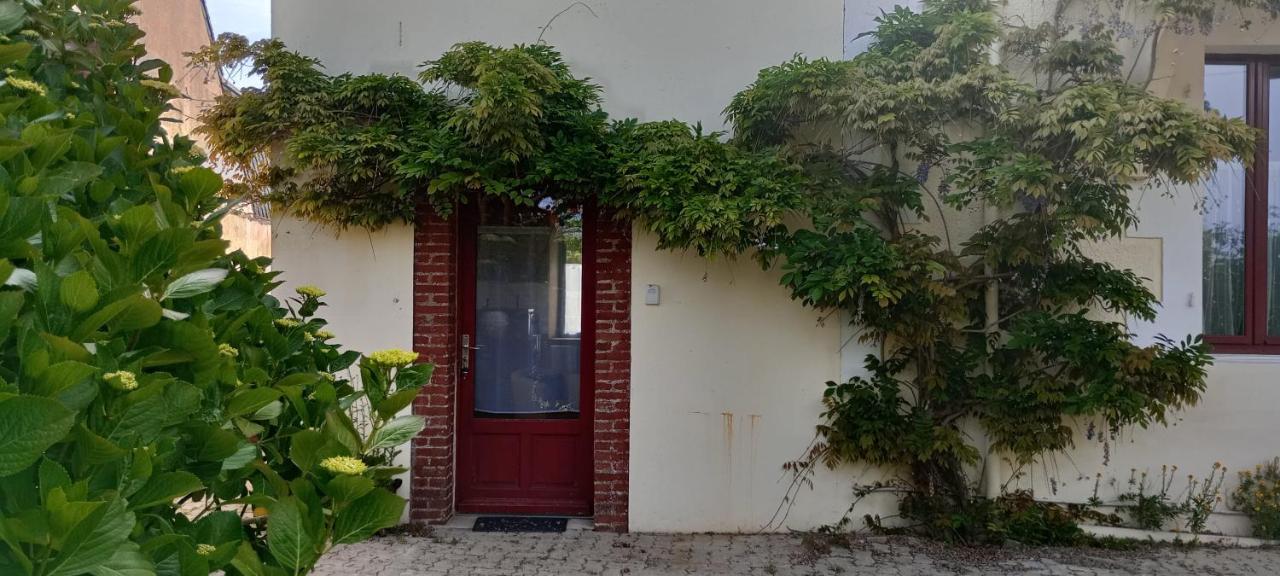 Gîte 2 personnes 700m de la plage - Ferienwohnung Trévou-Tréguignec