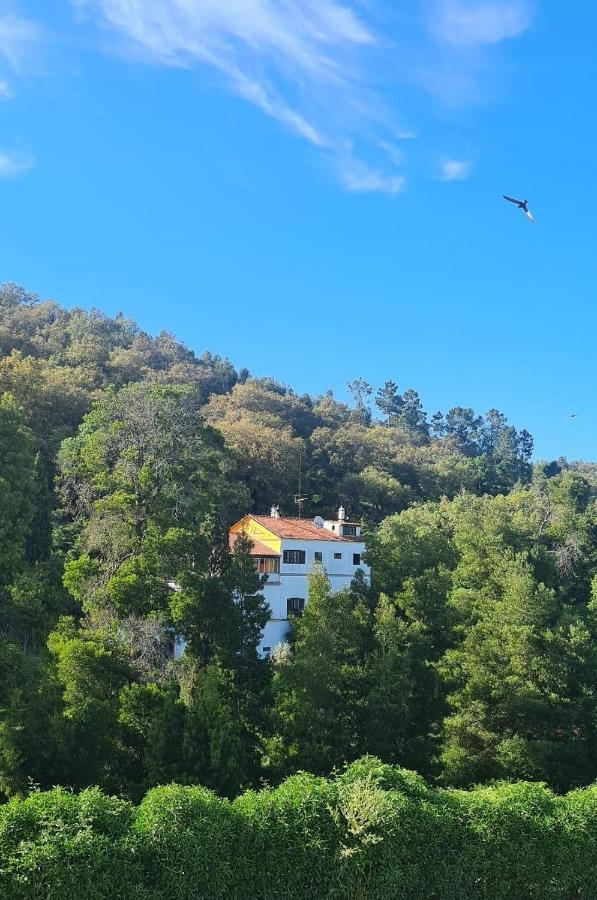 Bica Boa - B&B Monchique