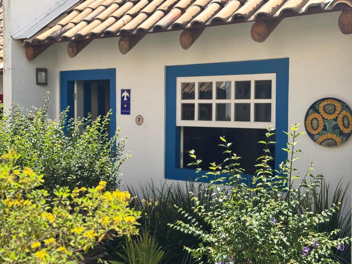 Loft PiriBlue - Sol, sombra e água fresca - B&B Pirenópolis