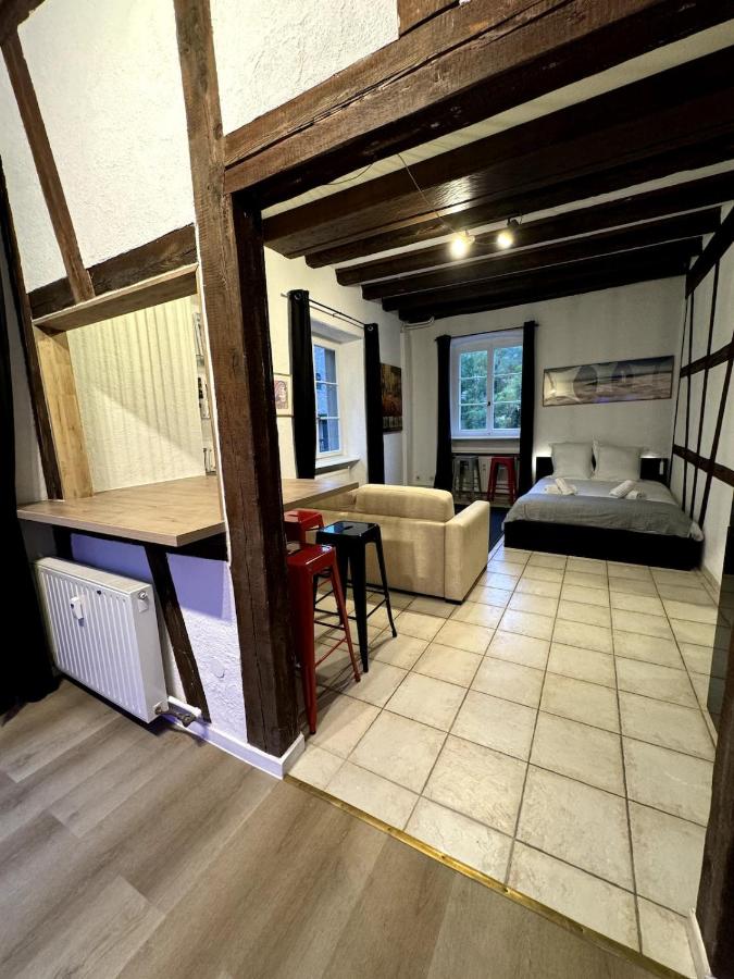 Les Suites Schwendi en Hypercentre - B&B Colmar