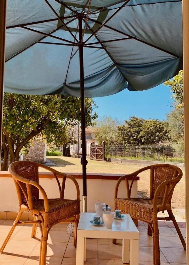 Glicine House - B&B Villammare
