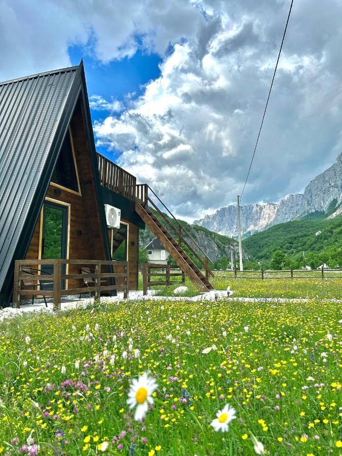 Komarnica Forest Owl - B&B Šavnik