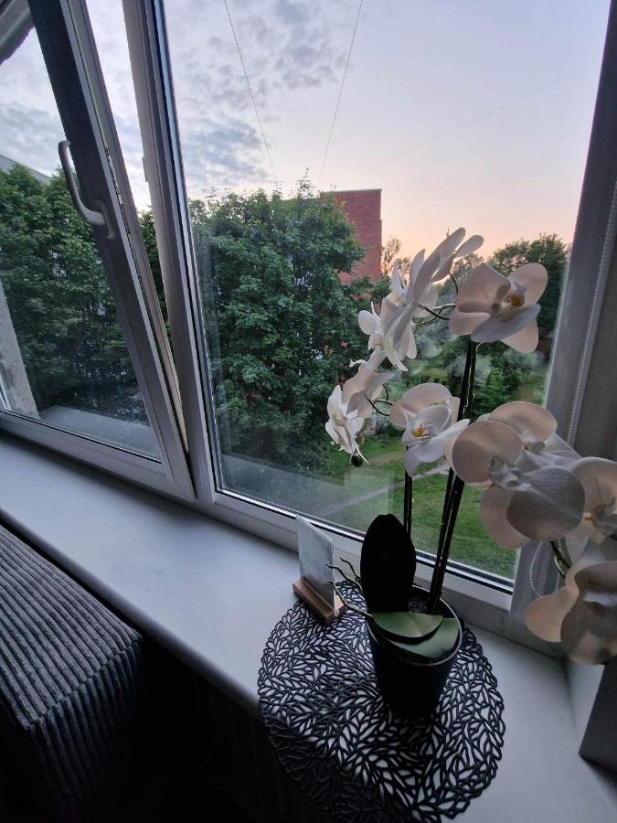 Namu muza 2 - Ferienwohnung Kaunas