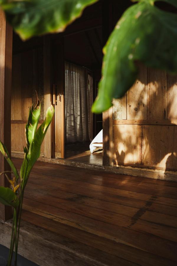 Villa 1 Chambre