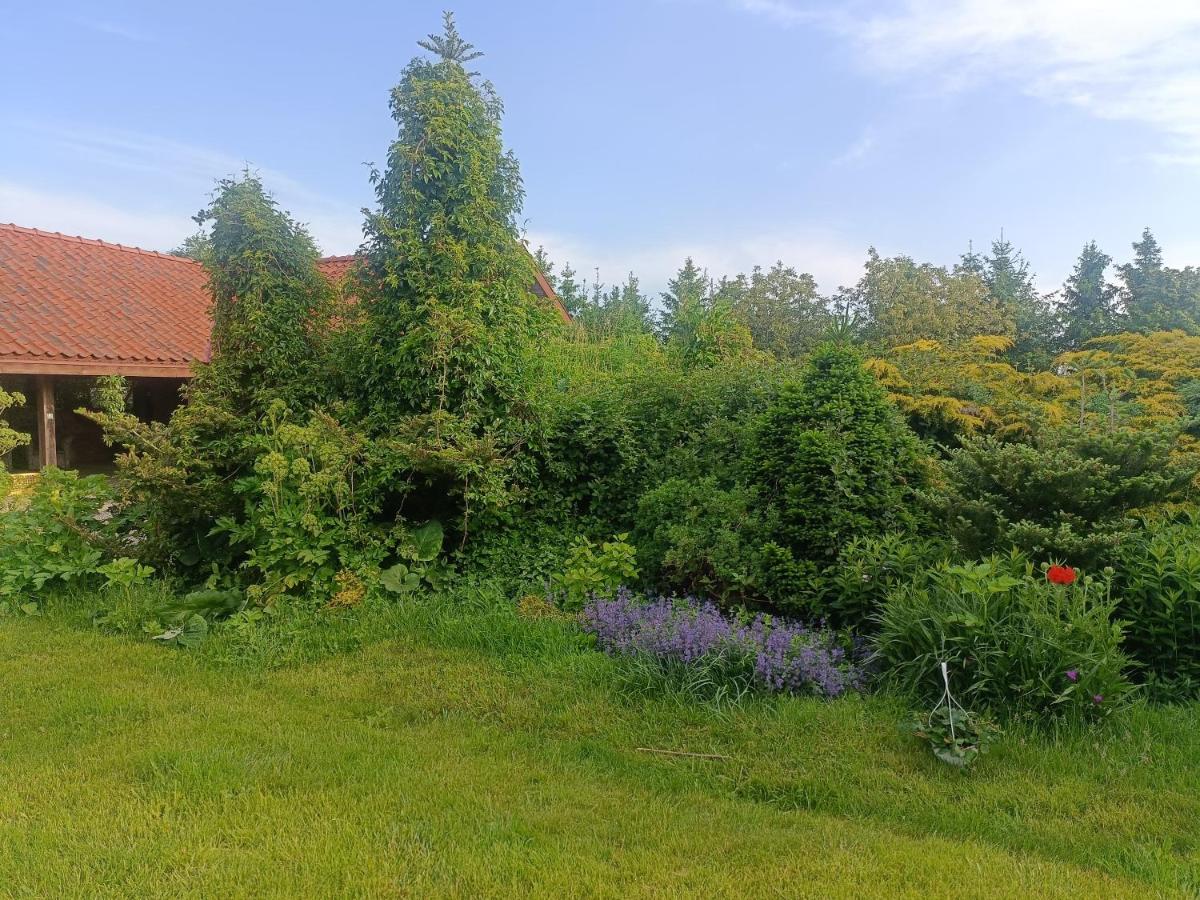 Mierki 66 Pokój Rodzinny 1 - Ferienwohnung Mierki