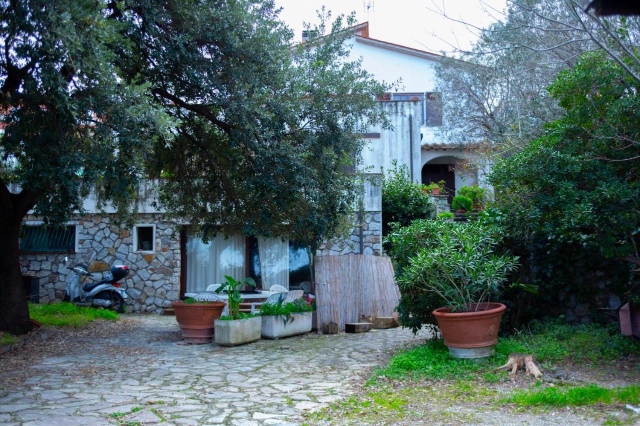 Padullella, mare e sole!! - B&B