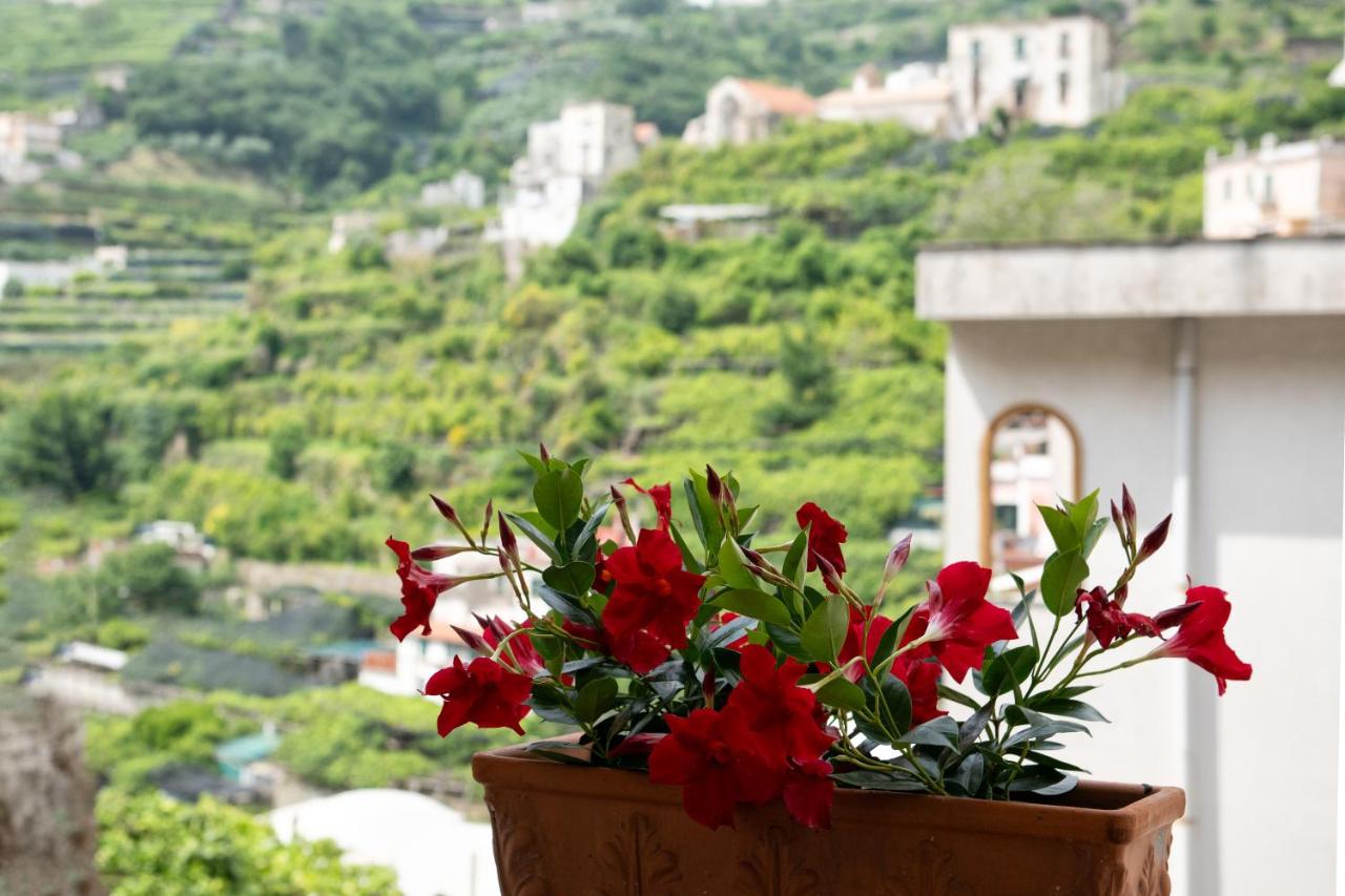 Casa Nonna Angela- Relax & Parcheggio Gratuito - B&B Minori