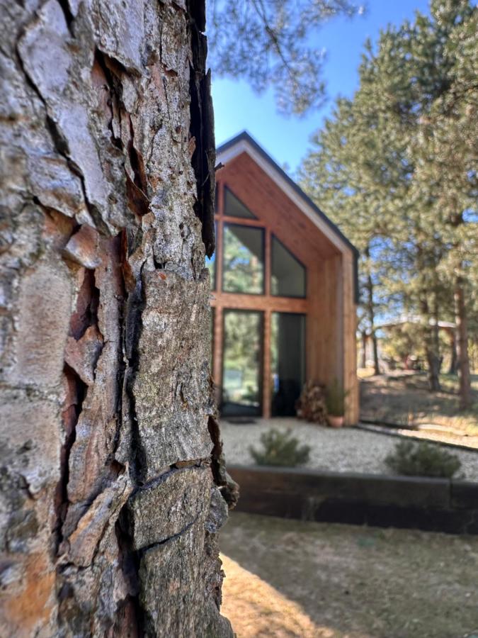 DomGalante - Nowoczesna stodoła na Pojezierzu Brodnickim - B&B Grzywno