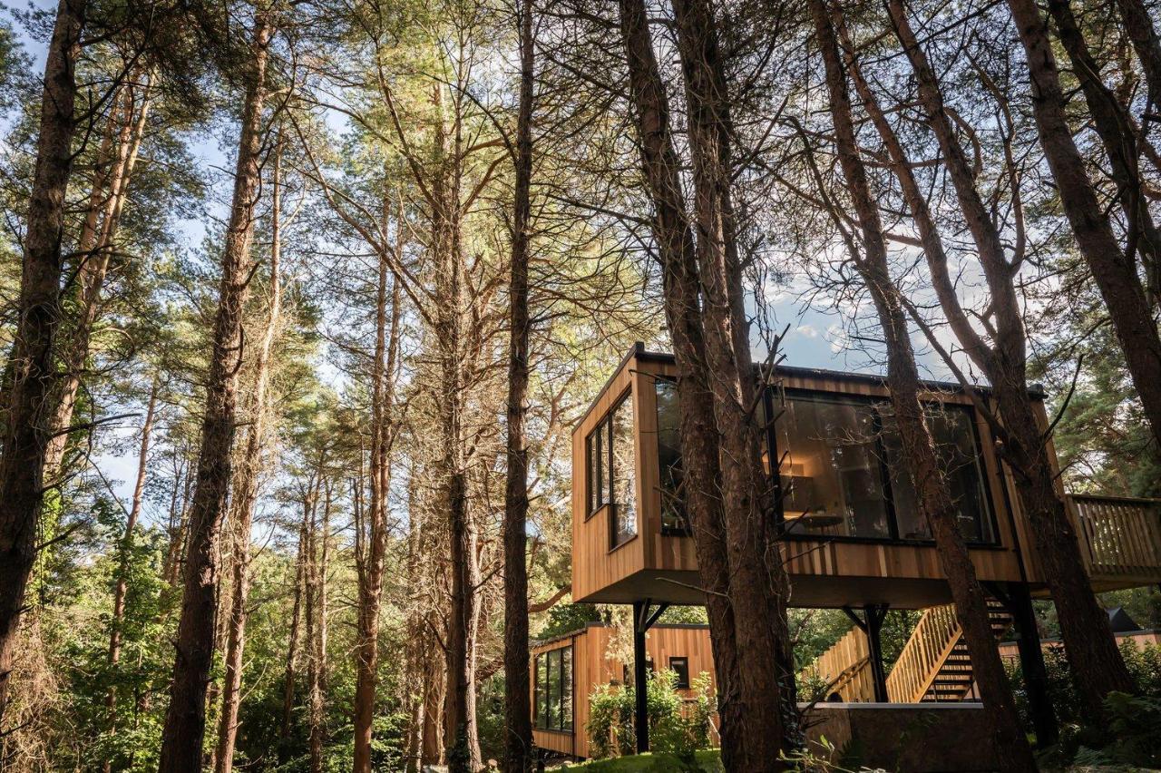 Burrenmore Nest - Luxury Forest Lodges with Hot Tubs & Sauna - B&B