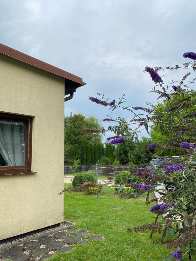 Borkówka - B&B