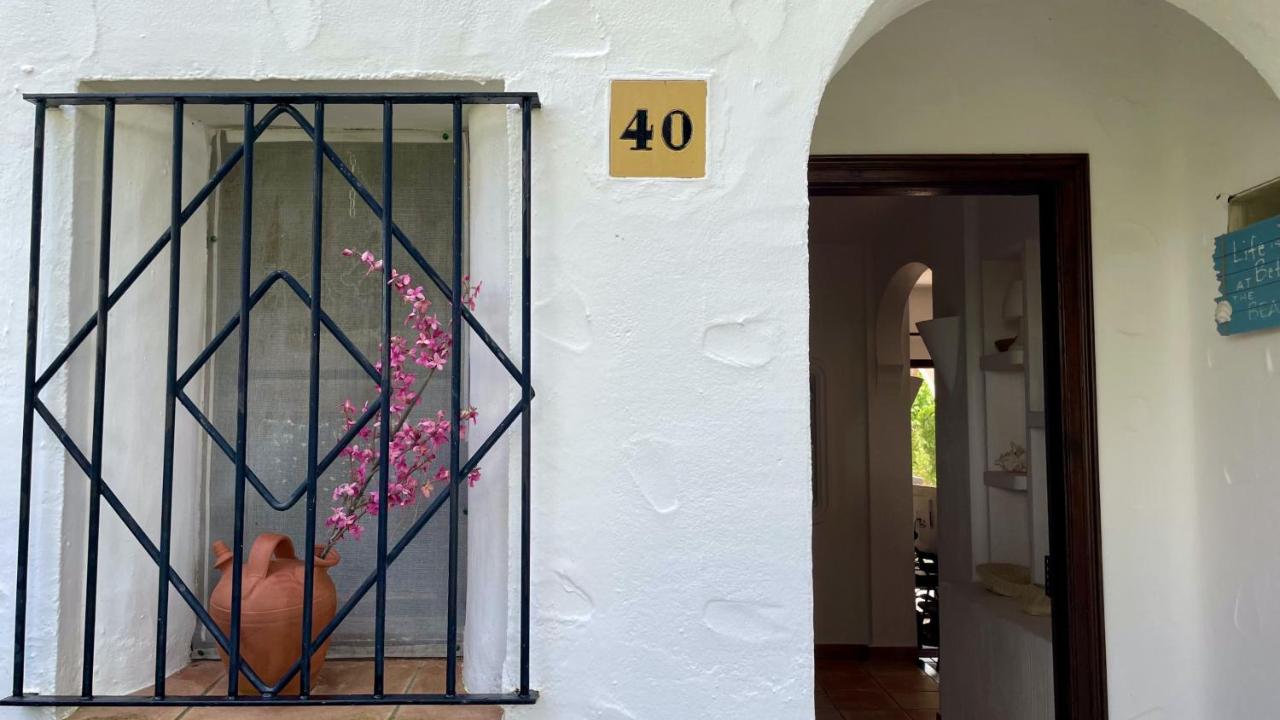 Piverd Golf 40 - B&B Pals