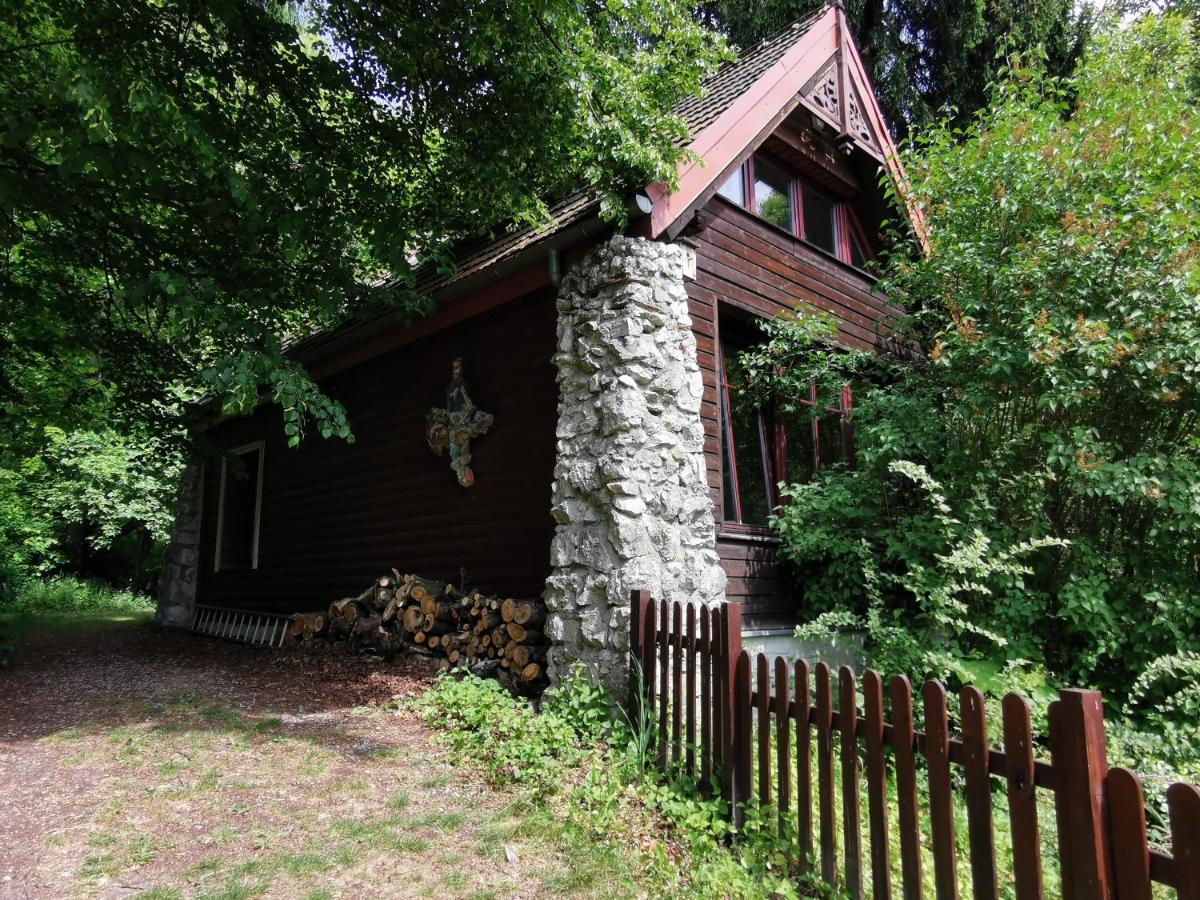 Domek Samotnia w ogrodzie - B&B