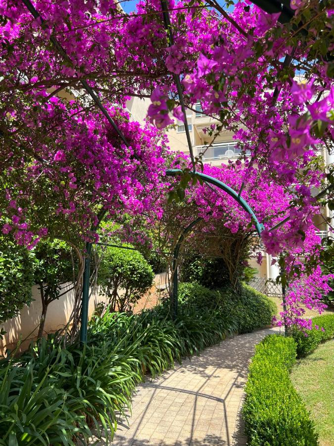 Paradis - B&B Cannes