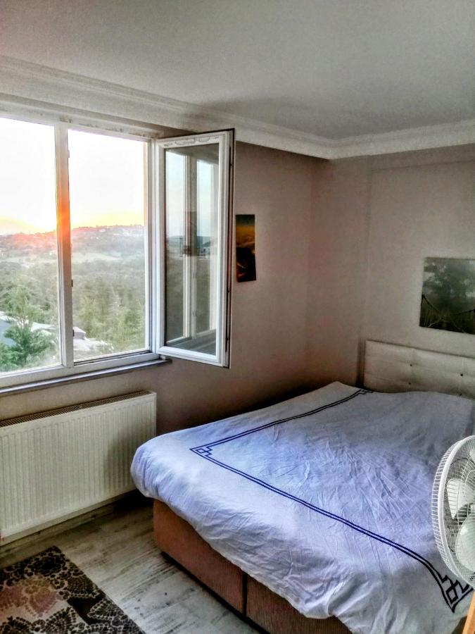 Villa mit 1 Schlafzimmer