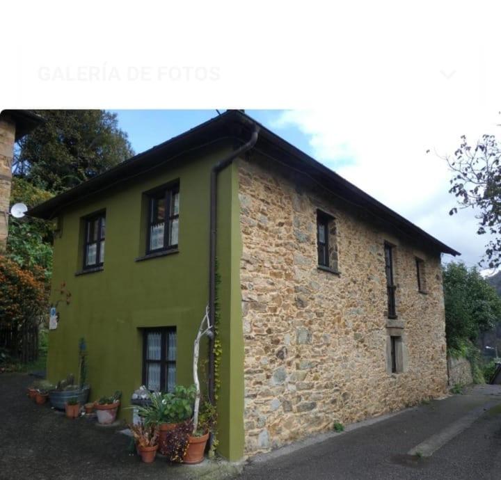 Apartamentos El Observatoriu Arcturus - B&B Muñás