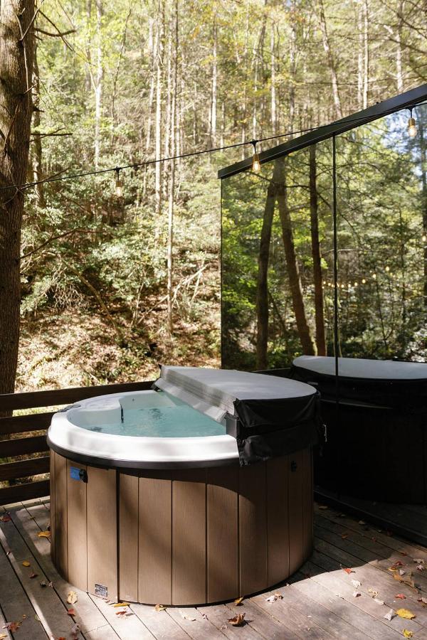 Modern Mirror Home w/ Hot-tub | “Glass House” #3 - Chambres d’hôtes High Falls