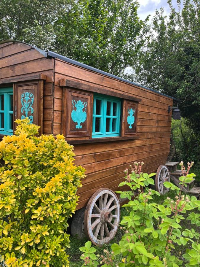 Roulotte avec Spa - Bed and Breakfast La Capelle-Bleys