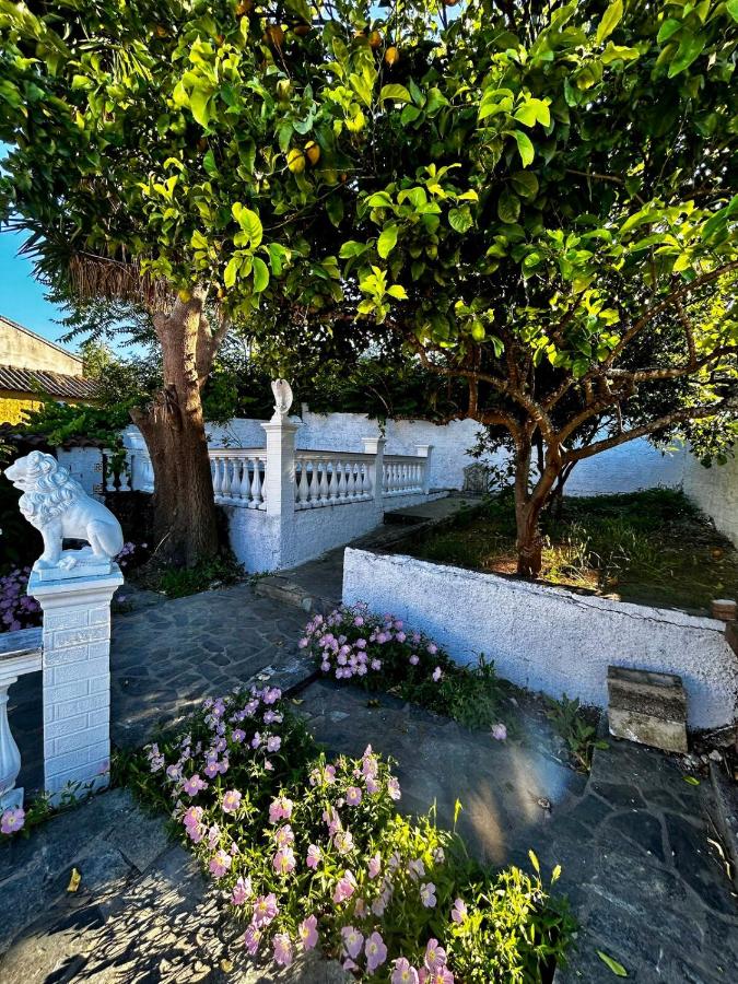 Barbarella Cottage - B&B