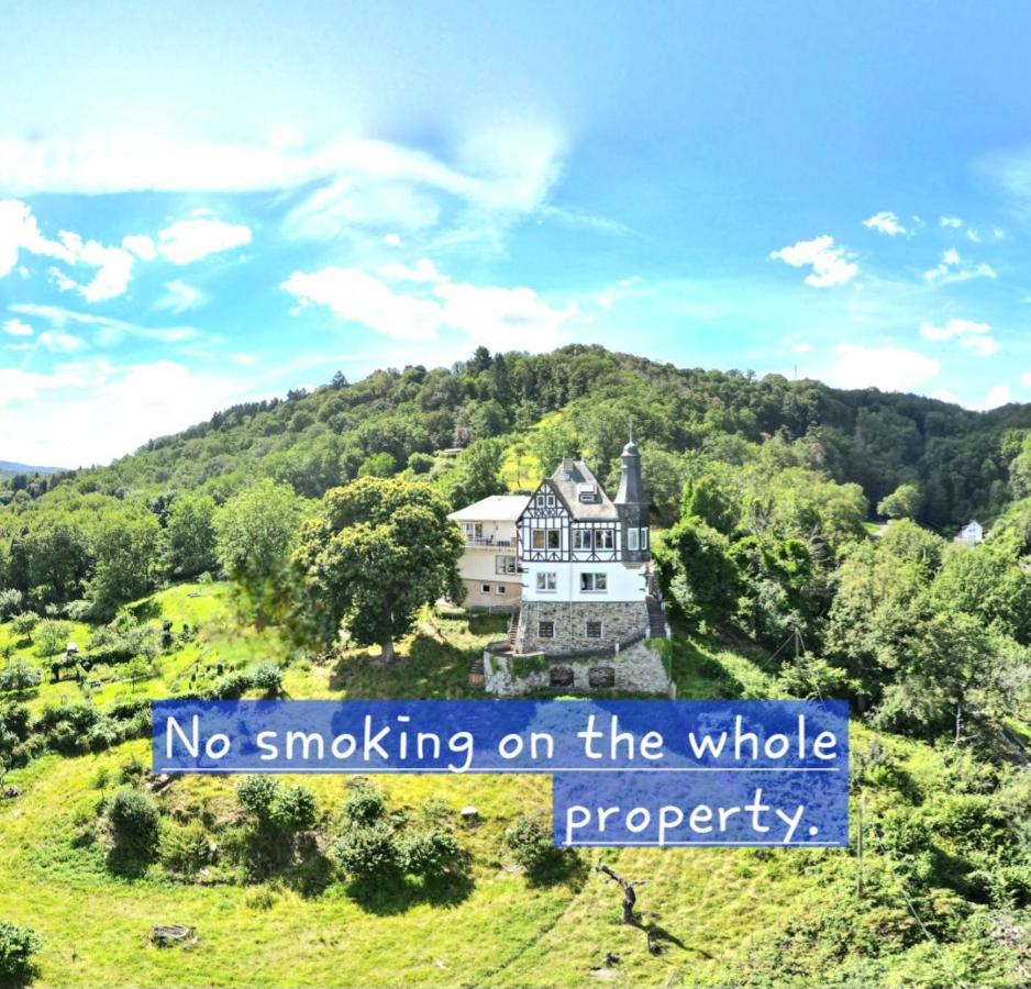 Little Rhineview Château - Harry - Bed and Breakfast