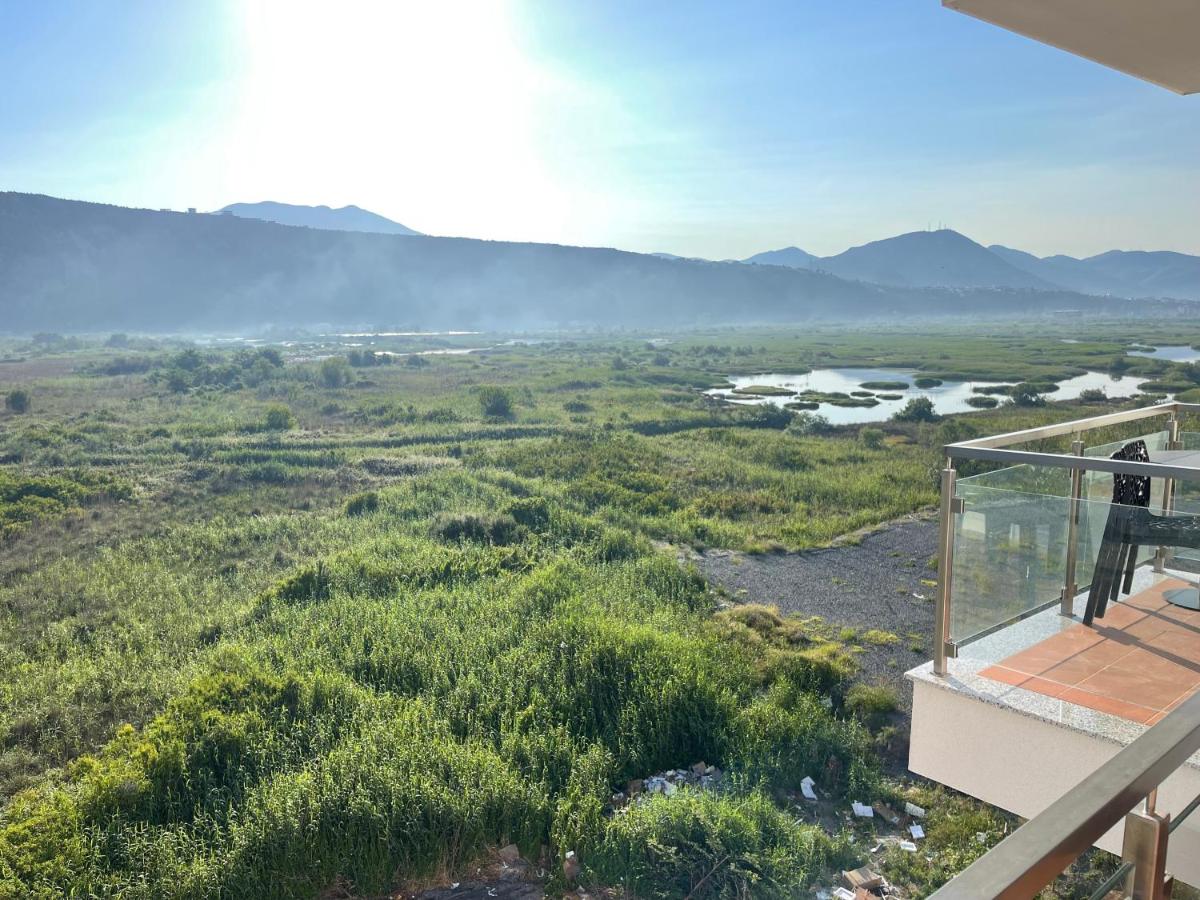 View of flamingos - B&B Shëngjin