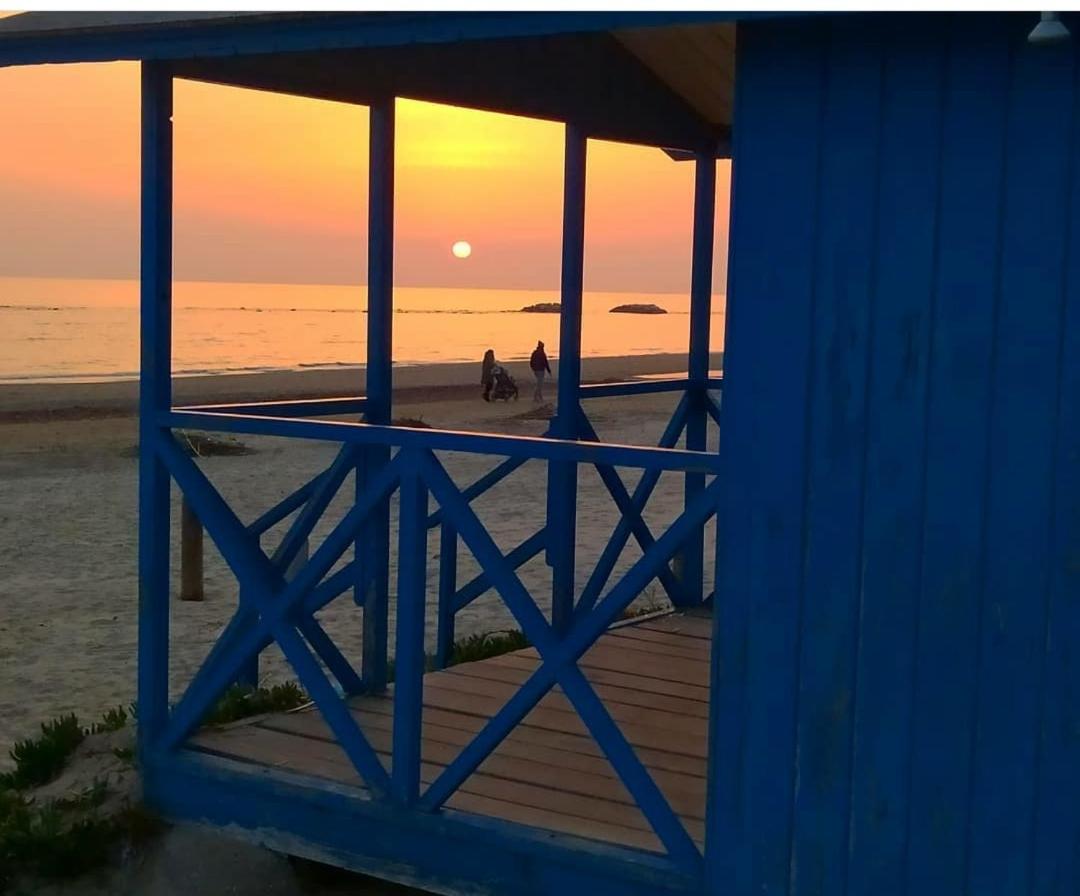 camera con terrazza vicino al mare e pineta - B&B