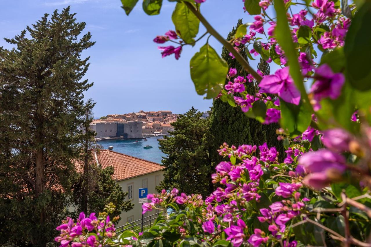 Unique Mediterranean 4 Star Apartment with Spa zone - Bed and Breakfast Dubrovnik