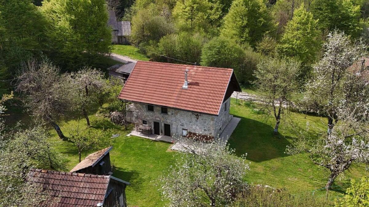 Apartment Olga - B&B Babno Polje