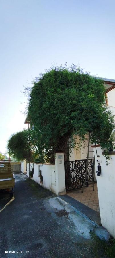 Villa Maria - Ferienwohnung Torre Forte