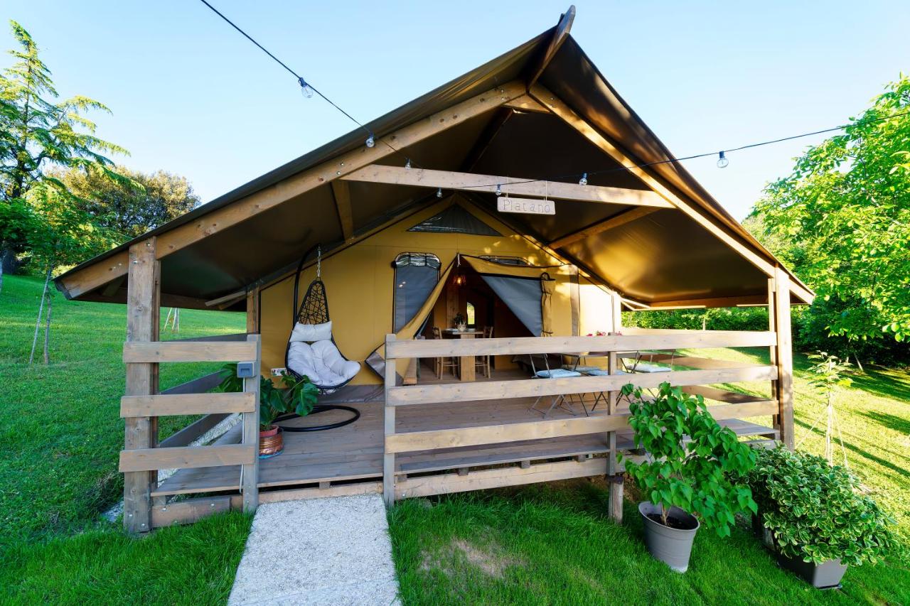 Tent