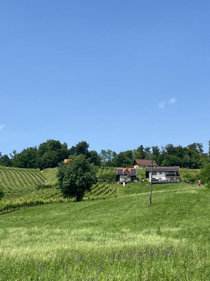 Kozjanski odklop - B&B