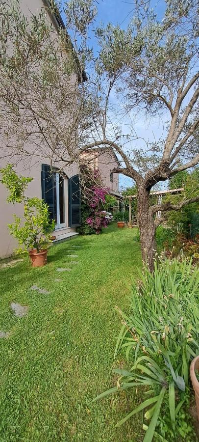 La Camelia - B&B Ameglia