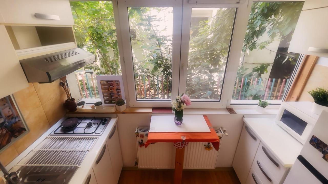 Aviatiei Vintage Charm - Close to Promenada Mall - B&B Bucarest