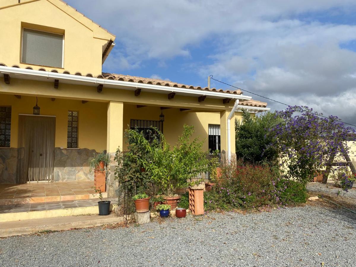 Cortijo Estrella - B&B Benferri