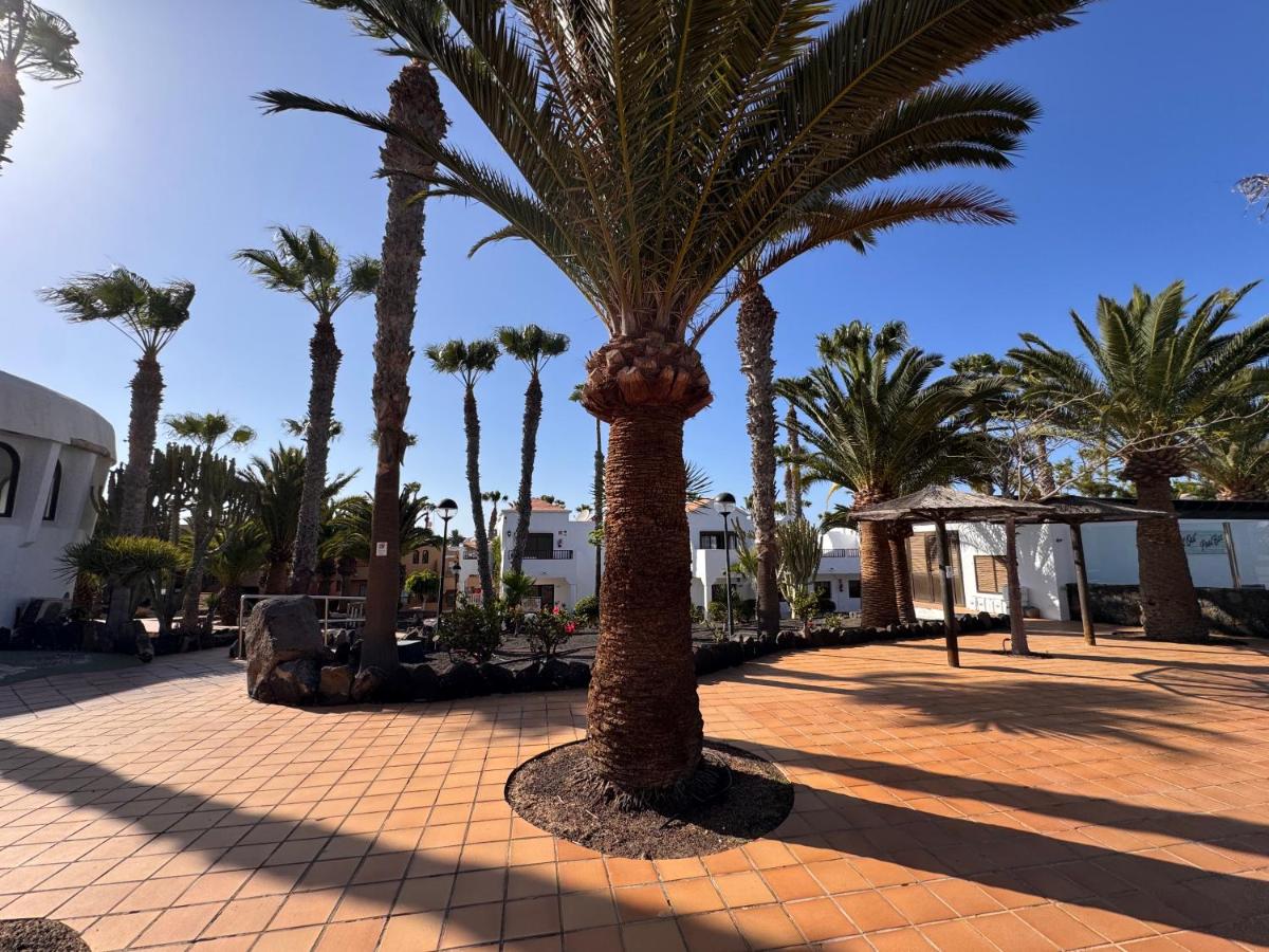 Oasis Jaylota - B&B Corralejo