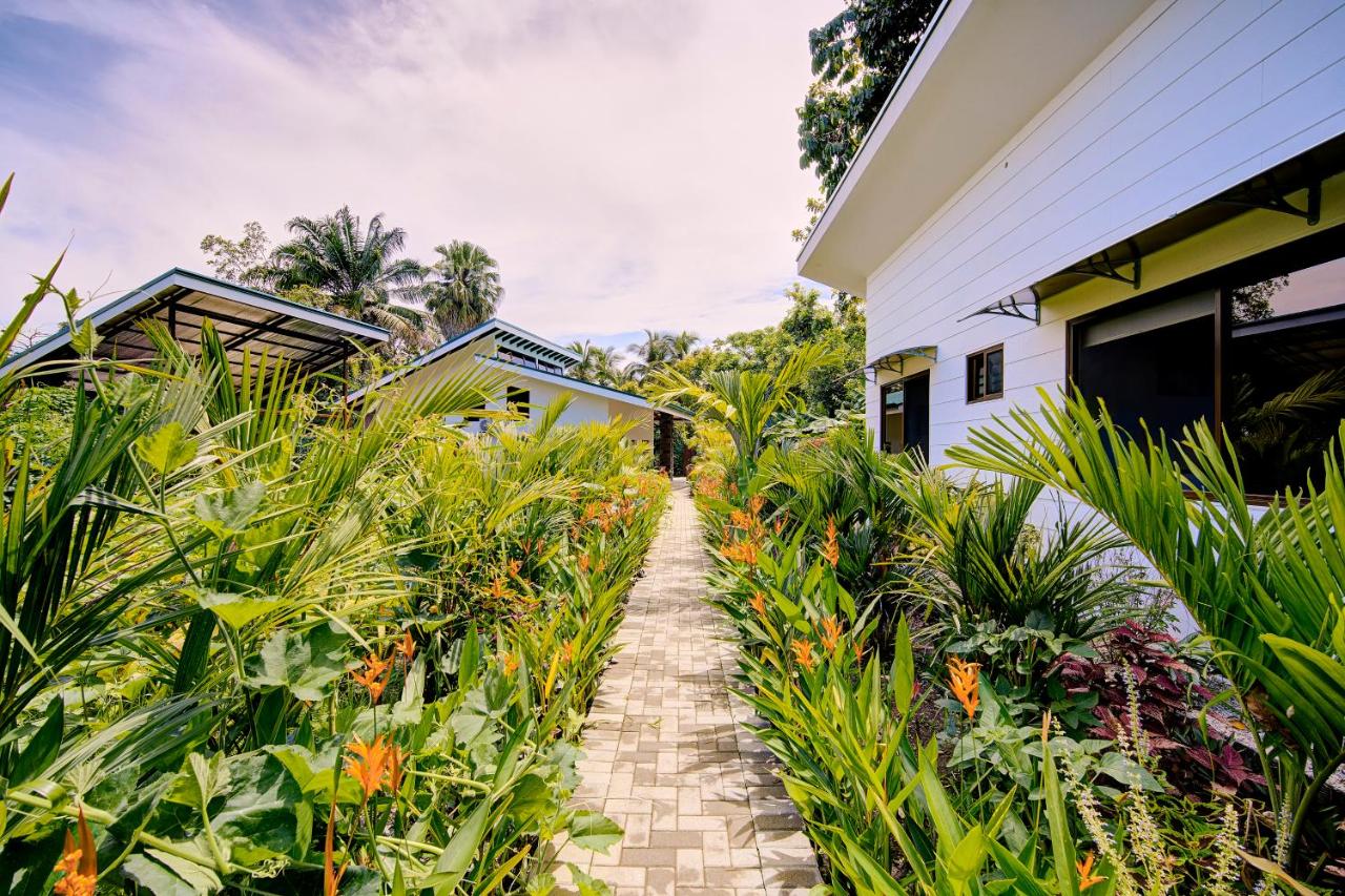 Paradise Studio- Pool, beach, yoga - Ferienwohnung Talamanca