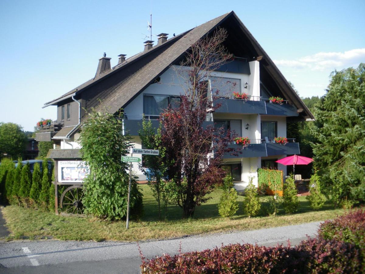 B&B Willingen - Ferienwohnungen Landhaus Meran - Bed and Breakfast Willingen