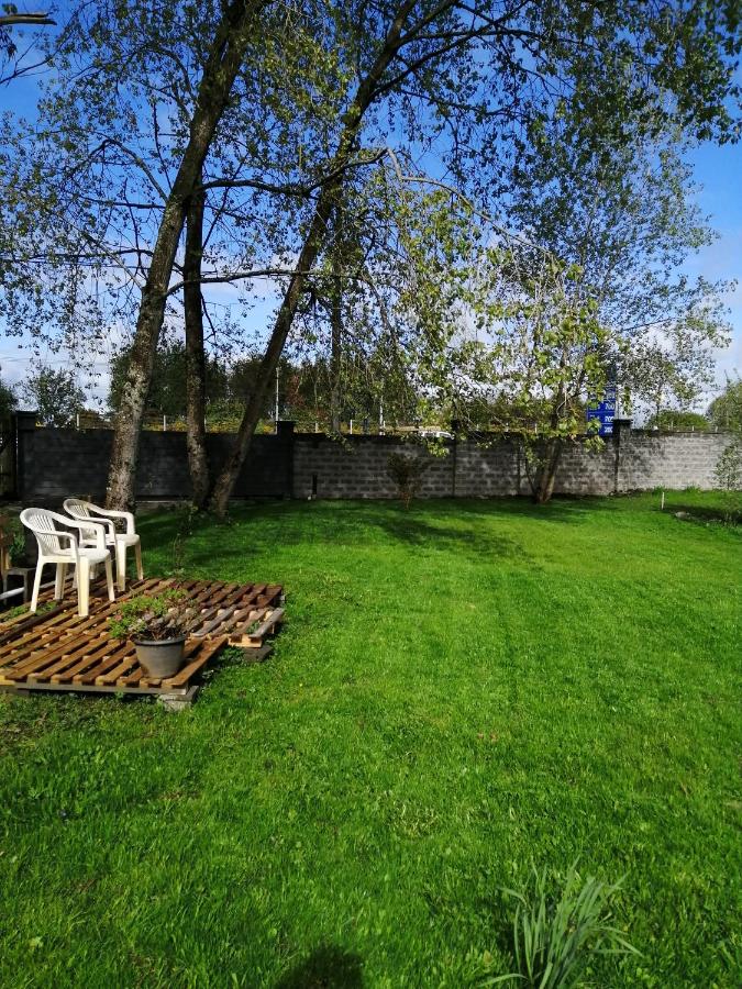 Refugio Verde Apartamento entero con entrada independiente - B&B Puerto Varas