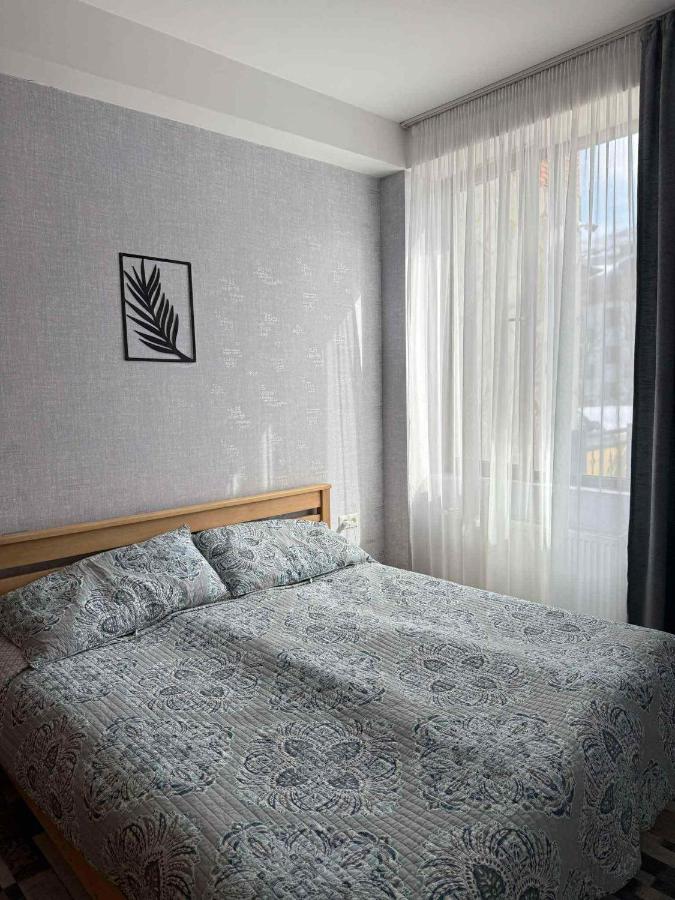 Bakuriani Didveli residence - B&B Bak’uriani