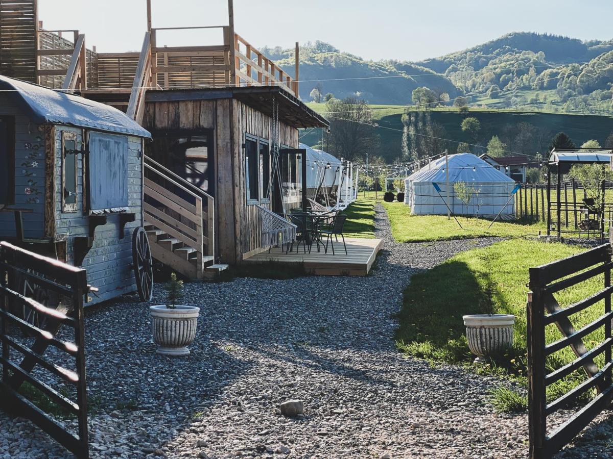 Glamping Iurte Mongole Spiritul Zimbrului - B&B