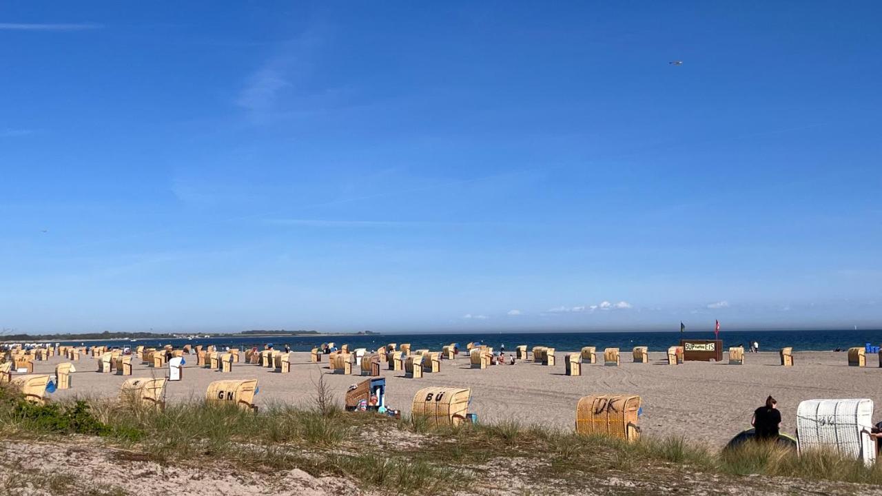 Kleine Seemöwe - Ferienwohnung Fehmarn