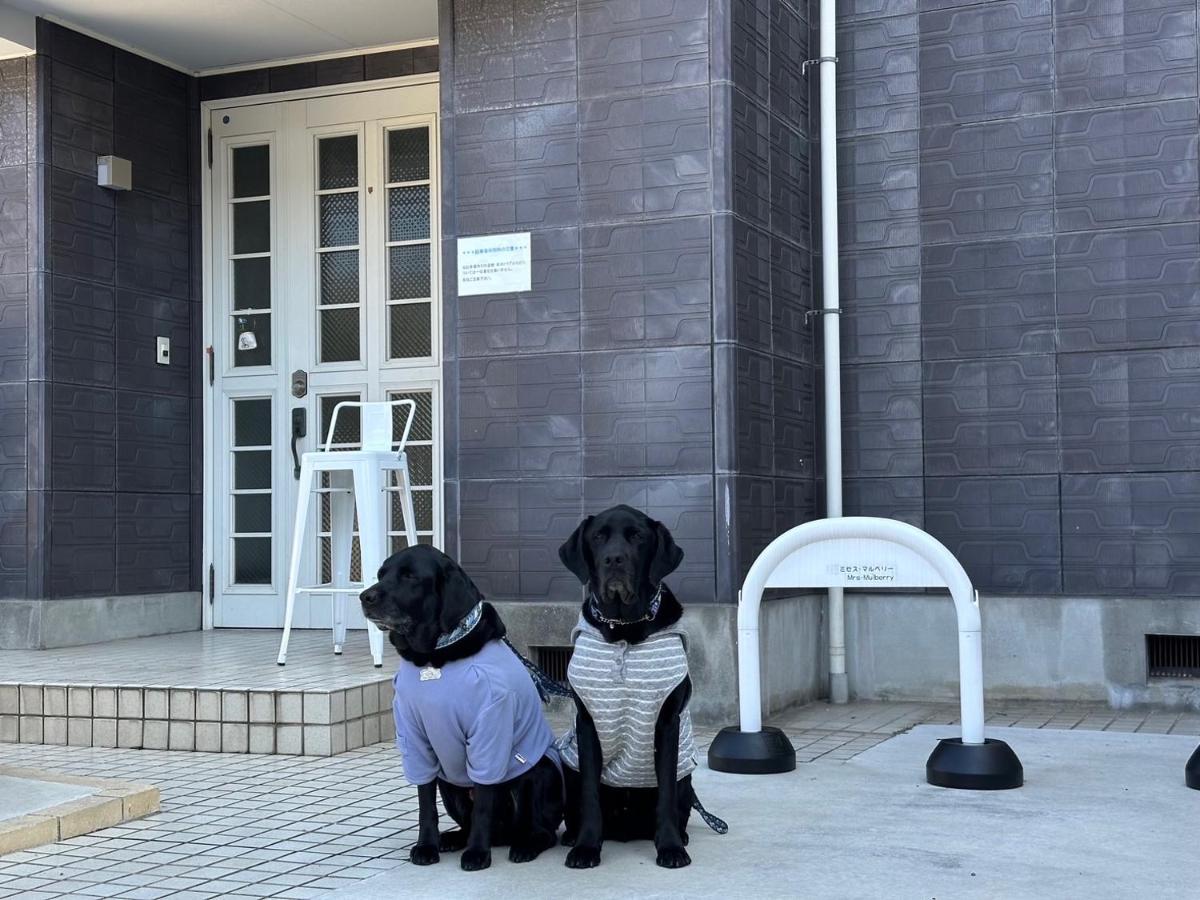笑いあふれる乾杯を 小さなホテル ミセス マルベリー - Chambres d’hôtes Utazu