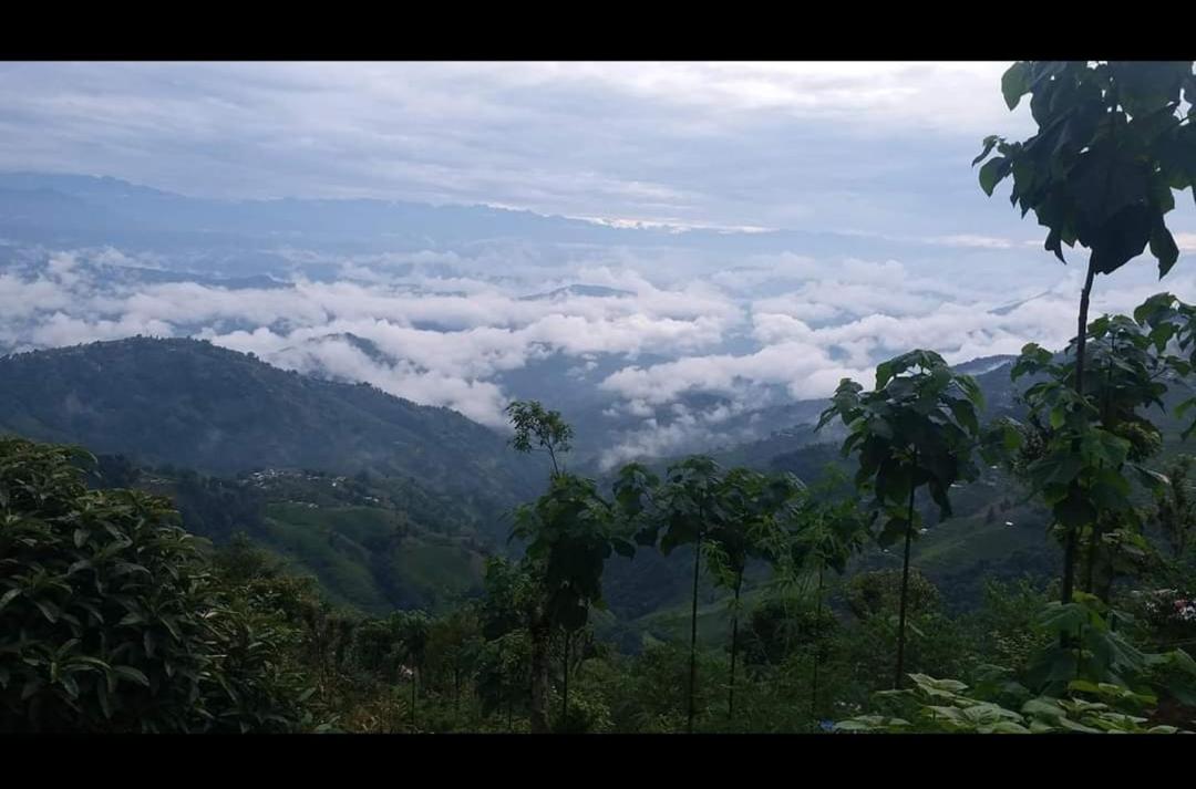 sanjivani buti organic krisi farm & resort - Ferienwohnung Nagarkot