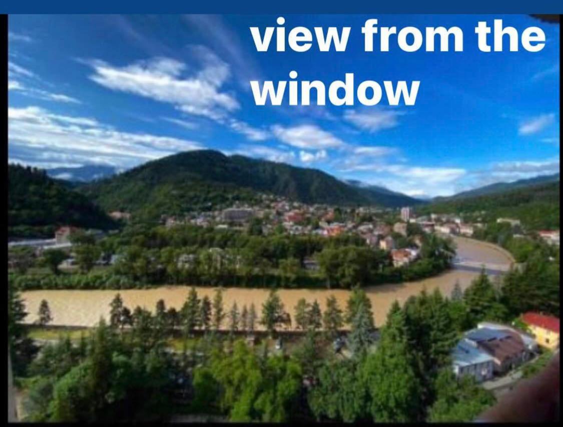 Tamar's Apartment - B&B Borjomi