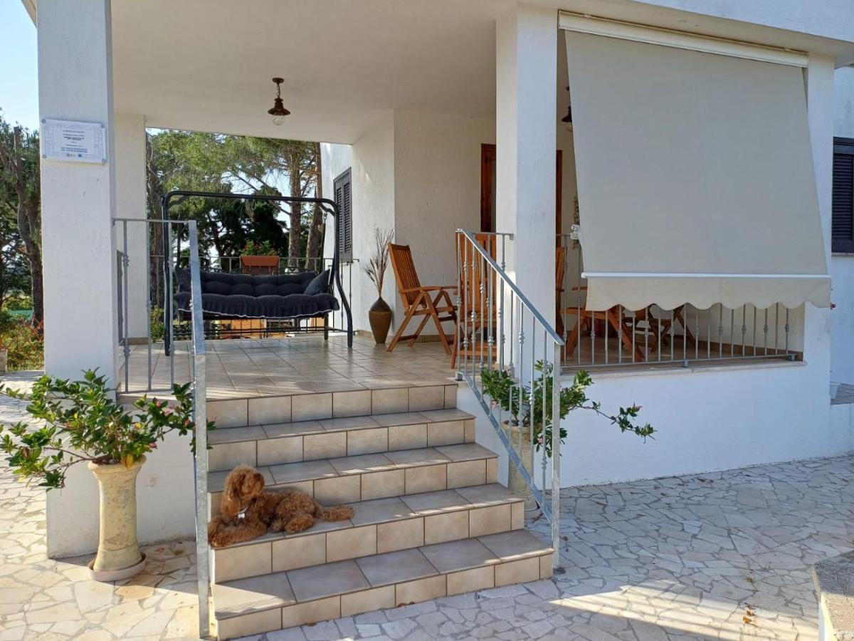 Al Pineto San Matteo - B&B Ostuni